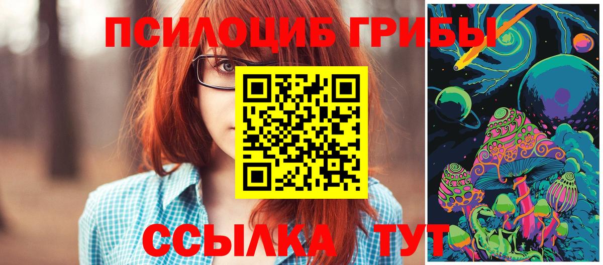 Псилоцибиновые грибы MAGIC MUSHROOMS Сланцы
